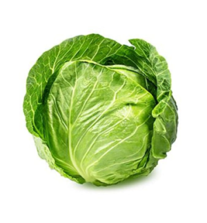 Cabbage ( કોબીજ )