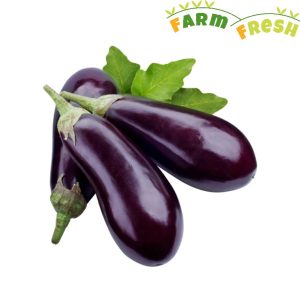 Brinjal long