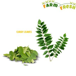 Curry Leaves