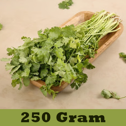 Coriander Bunch 250 Gram